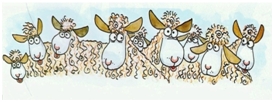 sheep